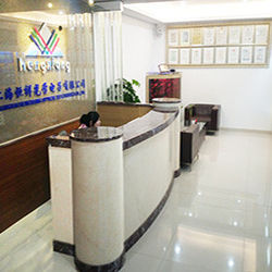 CO. Шанхая Hengxiang оптически электронное, Ltd.